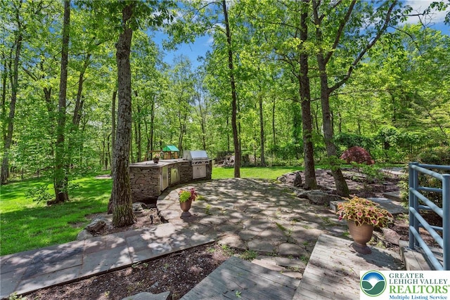 310 Hunters Farm Rd, Paradise Twp, PA 18332 - view of patio