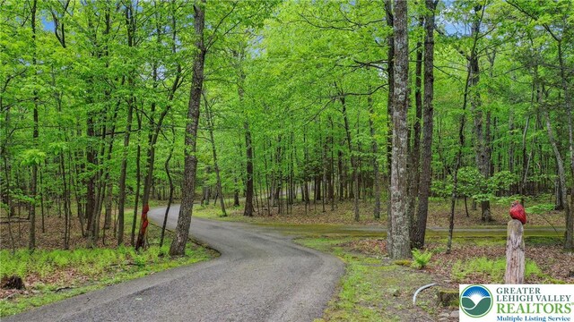 310 Hunters Farm Rd, Paradise Twp, PA 18332 - view of asphalt road featuring a view of trees