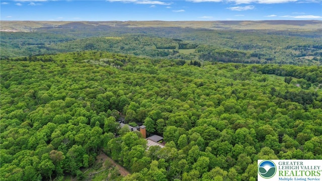 310 Hunters Farm Rd, Paradise Twp, PA 18332 - aerial view of a heavily wooded area