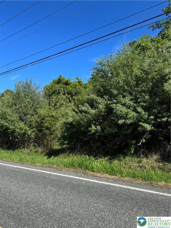 Geryville Pike, Milford Twp, PA 18073 - view of asphalt street