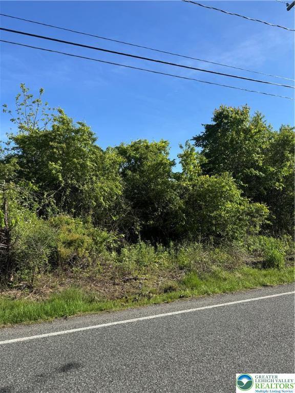 Geryville Pike, Milford Twp, PA 18073 - view of asphalt road