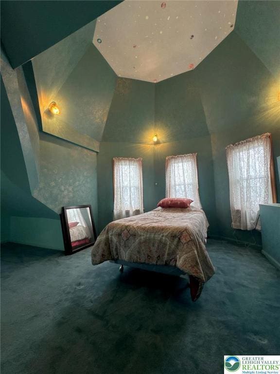 433 S 19th St, Easton, PA 18042 - carpeted bedroom with high vaulted ceiling
