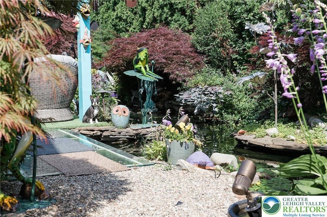433 S 19th St, Easton, PA 18042 - view of yard featuring a garden pond