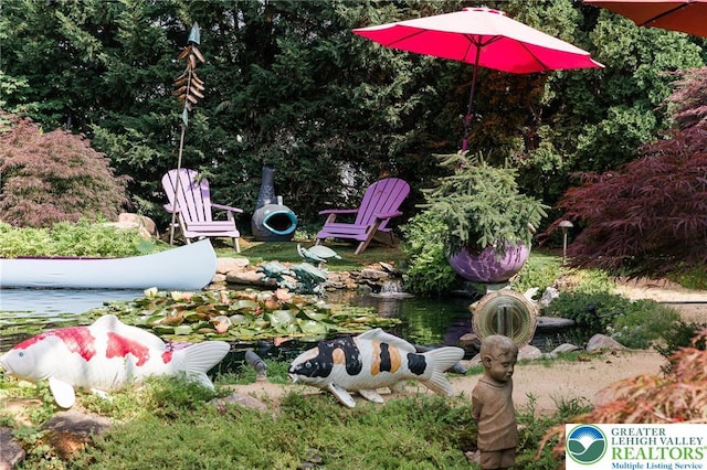433 S 19th St, Easton, PA 18042 - view of yard