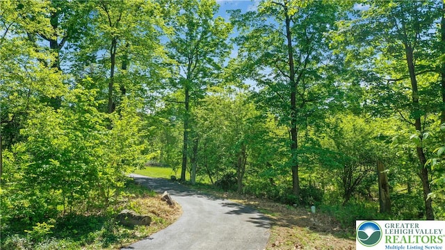 511 Center Hill Rd, Nockamixon Twp, PA 18972 - view of road with a forest view