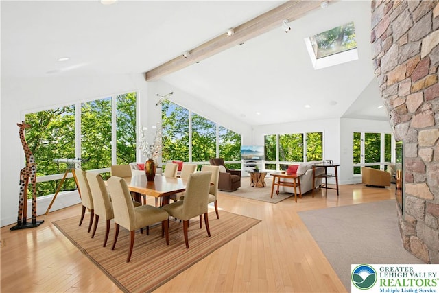 511 Center Hill Rd, Nockamixon Twp, PA 18972 - sunroom / solarium with a skylight
