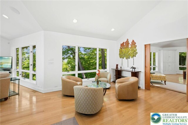 511 Center Hill Rd, Nockamixon Twp, PA 18972 - living area with light wood-type flooring, high vaulted ceiling, recessed lighting, and baseboards