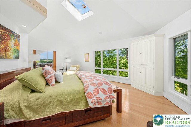 511 Center Hill Rd, Nockamixon Twp, PA 18972 - bedroom with multiple windows, a skylight, light wood-style floors, and high vaulted ceiling