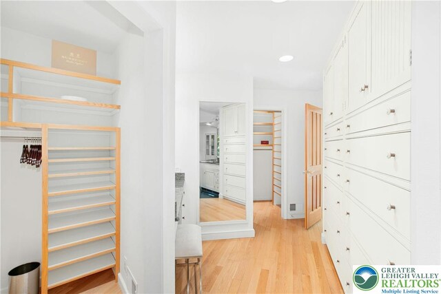 511 Center Hill Rd, Nockamixon Twp, PA 18972 - walk in closet with light wood-style flooring