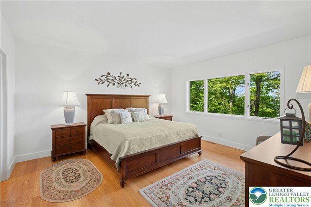 511 Center Hill Rd, Nockamixon Twp, PA 18972 - bedroom with baseboards and light wood finished floors