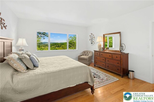 511 Center Hill Rd, Nockamixon Twp, PA 18972 - bedroom with wood finished floors