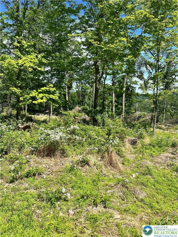 511 Center Hill Rd, Nockamixon Twp, PA 18972 - view of nature