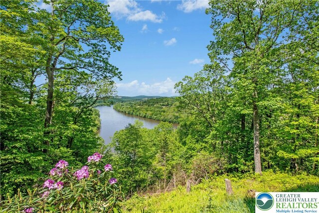 511 Center Hill Rd, Nockamixon Twp, PA 18972 - water view with a heavily wooded area