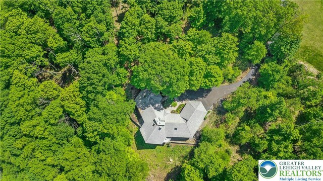511 Center Hill Rd, Nockamixon Twp, PA 18972 - bird's eye view