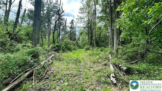 511 Center Hill Rd, Nockamixon Twp, PA 18972 - view of local wilderness