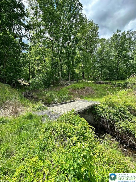 511 Center Hill Rd, Nockamixon Twp, PA 18972 - view of yard
