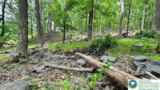 511 Center Hill Rd, Nockamixon Twp, PA 18972 - view of nature