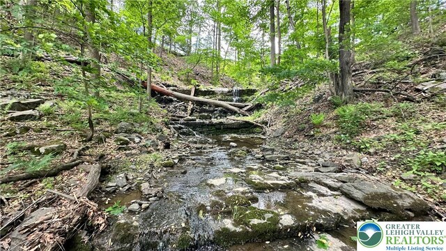 511 Center Hill Rd, Nockamixon Twp, PA 18972 - view of nature