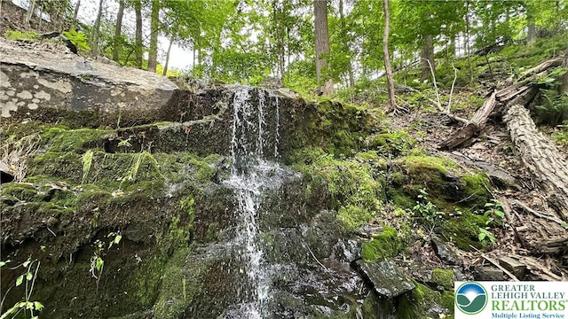 511 Center Hill Rd, Nockamixon Twp, PA 18972 - view of undeveloped land