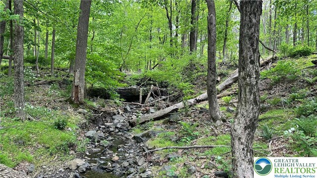 511 Center Hill Rd, Nockamixon Twp, PA 18972 - view of local wilderness