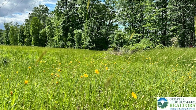 511 Center Hill Rd, Nockamixon Twp, PA 18972 - view of nature