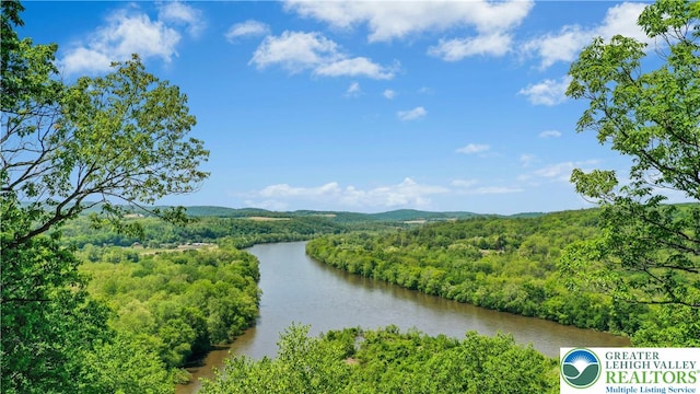 511 Center Hill Rd, Nockamixon Twp, PA 18972 - view of home's community with a forest view and a water view