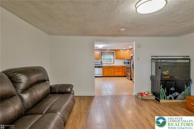 717 Frost Hollow Rd, Easton, PA 18040 - living room featuring light wood-type flooring, a textured ceiling, and baseboards