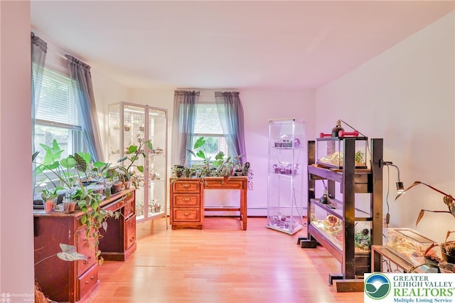 717 Frost Hollow Rd, Easton, PA 18040 - misc room featuring healthy amount of natural light, light wood-style floors, and a baseboard radiator
