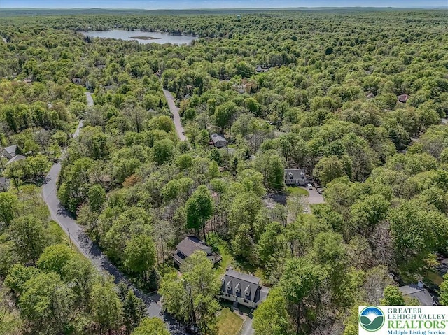 1281 Winding Way, Coolbaugh Twp, PA 18466 - drone / aerial view of a forest and a nearby body of water