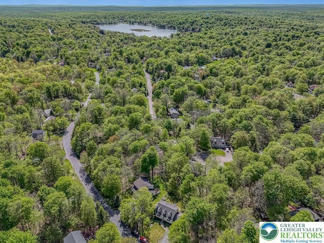 1281 Winding Way, Coolbaugh Twp, PA 18466 - aerial view of a forest and a large body of water