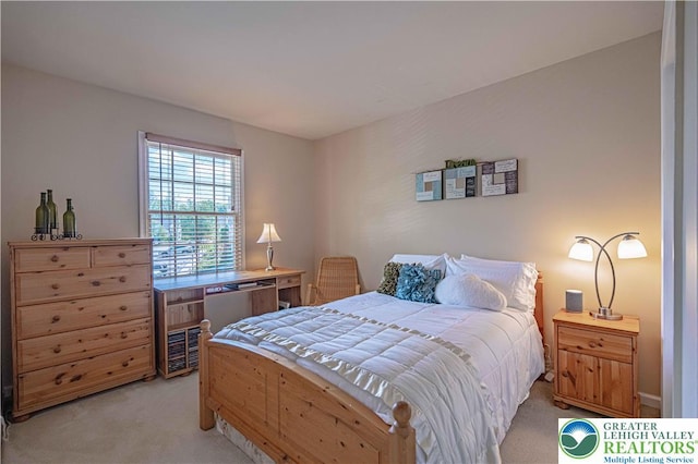 1514 Ravena St Unit Dd, Bethlehem City, PA 18015 - bedroom with light carpet