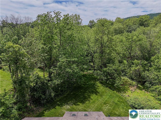 1514 Ravena St Unit Dd, Bethlehem City, PA 18015 - aerial view of a heavily wooded area