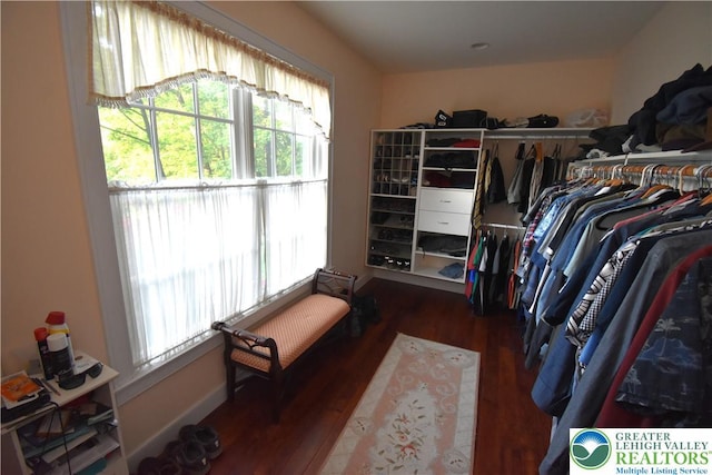 135 Coffeetown Rd, Easton, PA 18042 - walk in closet with wood finished floors