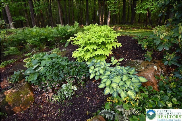 135 Coffeetown Rd, Easton, PA 18042 - view of nature