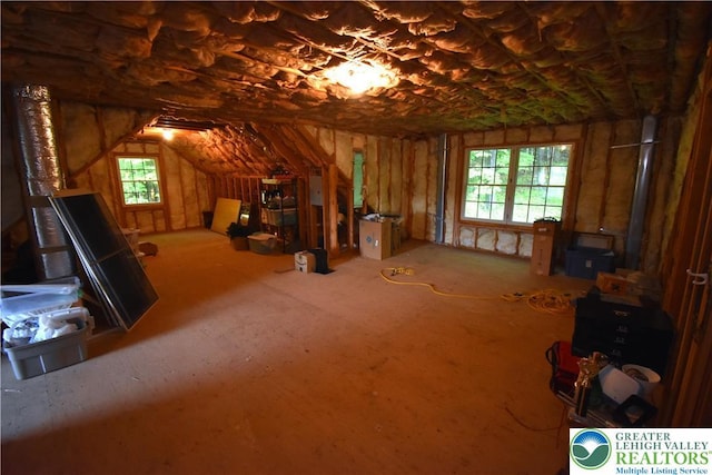 135 Coffeetown Rd, Easton, PA 18042 - attic featuring plenty of natural light