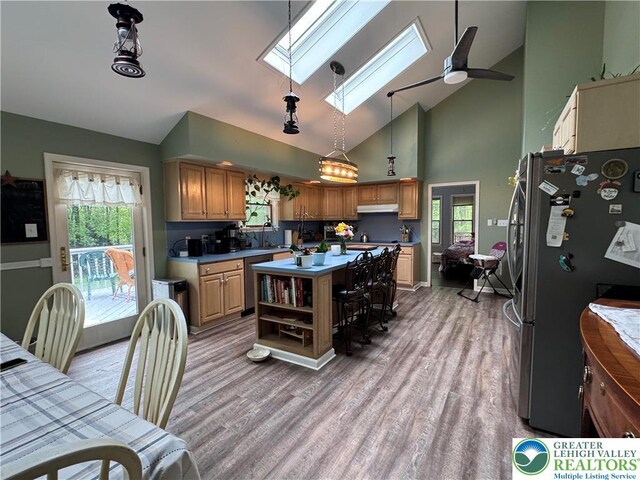 462 Plane St, Weatherly Boro, PA 18255 - kitchen featuring appliances with stainless steel finishes, a skylight, high vaulted ceiling, under cabinet range hood, and light wood-type flooring