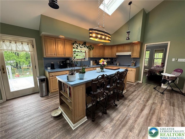462 Plane St, Weatherly Boro, PA 18255 - kitchen featuring under cabinet range hood, a skylight, a center island, open shelves, and wood finished floors