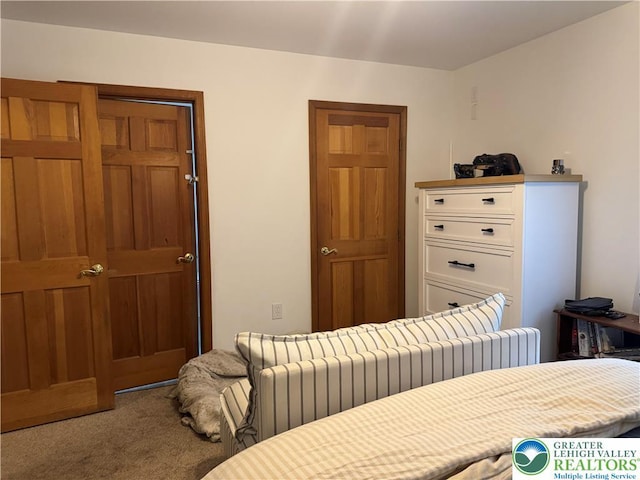 462 Plane St, Weatherly Boro, PA 18255 - bedroom featuring carpet flooring