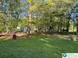 462 Plane St, Weatherly Boro, PA 18255 - view of grassy yard