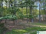 462 Plane St, Weatherly Boro, PA 18255 - view of yard with a garden