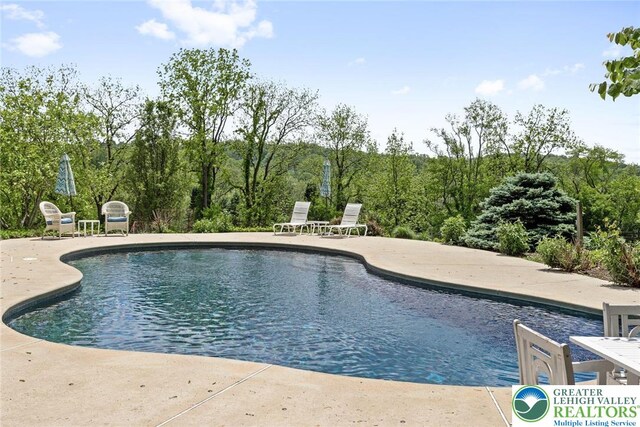 2965 Adams Way, Springfield Twp, PA 18077 - swimming pool with a patio area