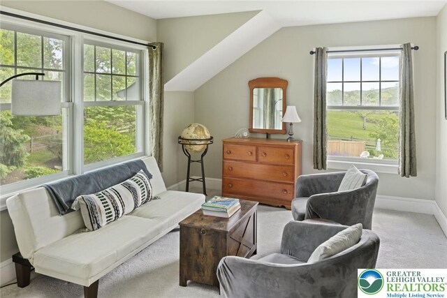 2965 Adams Way, Springfield Twp, PA 18077 - sitting room featuring plenty of natural light, carpet flooring, baseboards, and lofted ceiling