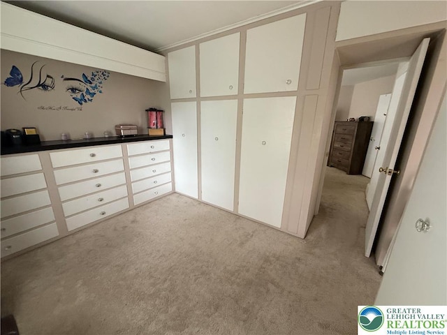 204 Analomink St, East Stroudsburg, PA 18301 - unfurnished bedroom featuring light colored carpet