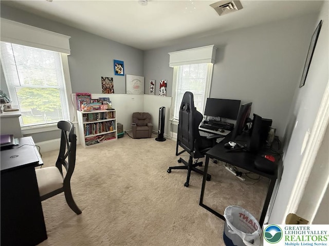 204 Analomink St, East Stroudsburg, PA 18301 - office area featuring plenty of natural light, carpet floors, and baseboards