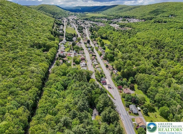 711 E Center St, Nesquehoning Borough, PA 18240 - bird's eye view of a heavily wooded area