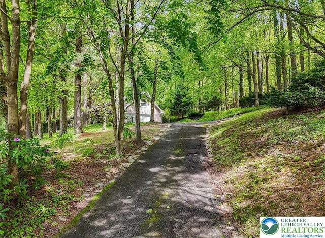 711 E Center St, Nesquehoning Borough, PA 18240 - view of street featuring a view of trees