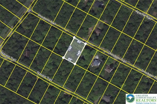 Shoshoni Trl, Wayne, PA 18424 - map / location