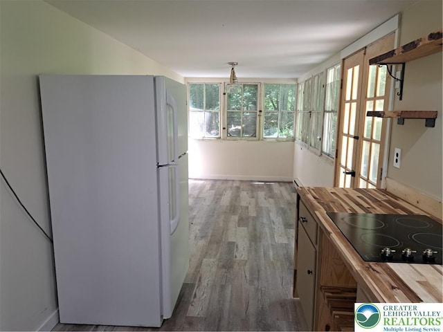 1392 Cherrylane Rd, Stroud Twp, PA 18301 - kitchen with freestanding refrigerator, black electric stovetop, wood finished floors, and healthy amount of natural light
