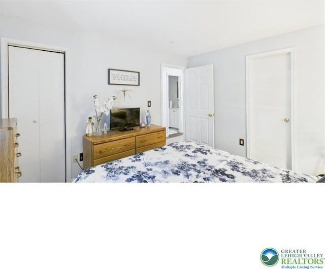 108 Abbey Ln, Lehman Twp, PA 18302 - bedroom with a closet