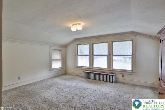 171 N New St, Nazareth Borough, PA 18064 - bonus room with radiator, vaulted ceiling, carpet, and baseboards